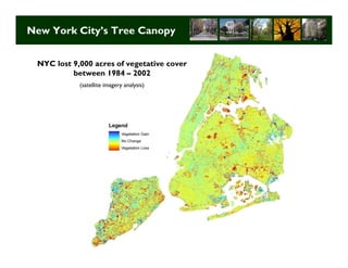 New York City’s Tree Canopy


 NYC lost 9,000 acres of vegetative cover
          between 1984 – 2002
            (satellite imagery analysis)




                                            Long Term Strategic Planning 13
 