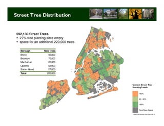 Street Tree Distribution


 592,130 Street Trees
   27% tree planting sites empty
   space for an additional 220,000 trees

   Borough         New trees
   Bronx              50,000
   Brooklyn           70,000
   Manhattan          20,000
   Queens             55,000
   Staten Island      27,000
   Total             220,000



                                                     Current Street Tree
                                                     Stocking Levels




                                           Long Term Strategic Planning 18
 