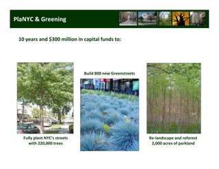PlaNYC & Greening

 10 years and $300 million in capital funds to:




                               Build 800 new Greenstreets




   Fully plant NYC’s streets                                Re-landscape and reforest
      with 220,000 trees                                     2,000 acres of parkland

                                                                   Long Term Strategic Planning 25
 