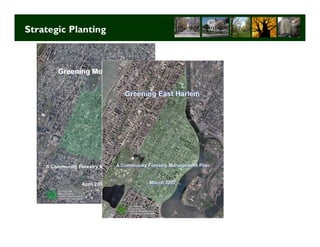 Strategic Planting




                     Long Term Strategic Planning 28
 