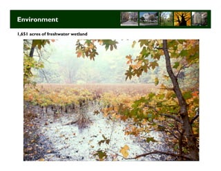 Environment

1,651 acres of freshwater wetland




                                    Long Term Strategic Planning 3
 