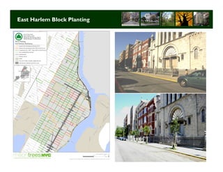 East Harlem Block Planting




                             Long Term Strategic Planning 30
 