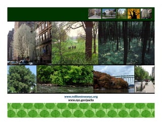 www.milliontreesnyc.org
  www.nyc.gov/parks




                          Long Term Strategic Planning 37
 