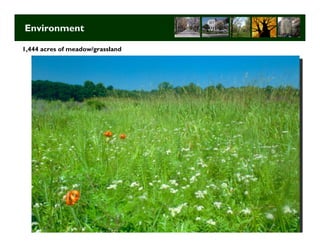 Environment

1,444 acres of meadow/grassland




                                  Long Term Strategic Planning 5
 