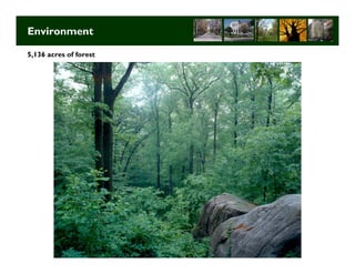 Environment

5,136 acres of forest




                        Long Term Strategic Planning 6
 