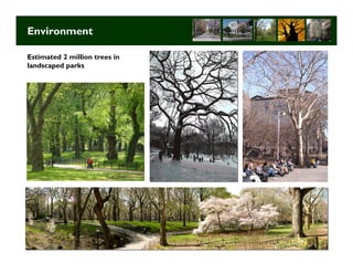 Environment

Estimated 2 million trees in
landscaped parks




                               Long Term Strategic Planning 7
 