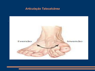 Articulação Talocalcânea



.
 