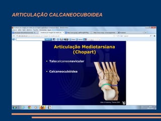 ARTICULAÇÃO CALCANEOCUBOIDEA



   .
 