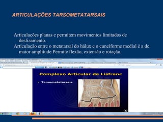 ARTICULAÇÕES TARSOMETATARSAIS



Articulações planas e permitem movimentos limitados de
  deslizamento.
Articulação entre o metatarsal do hálux e o cuneiforme medial é a de
  maior amplitude.Permite flexão, extensão e rotação.
 