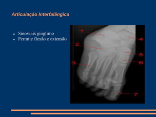 Articulação Interfalângica



   Sinoviais gínglimo
   Permite flexão e extensão
 