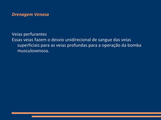 Drenagem Venosa



Veias perfurantes
Essas veias fazem o desvio unidirecional de sangue das veias
   superficiais para as veias profundas para a operação da bomba
   musculovenosa.
 