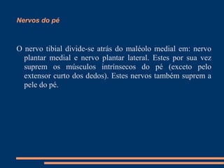 Nervos do pé



O nervo tibial divide-se atrás do maléolo medial em: nervo
  plantar medial e nervo plantar lateral. Estes por sua vez
  suprem os músculos intrínsecos do pé (exceto pelo
  extensor curto dos dedos). Estes nervos também suprem a
  pele do pé.
 