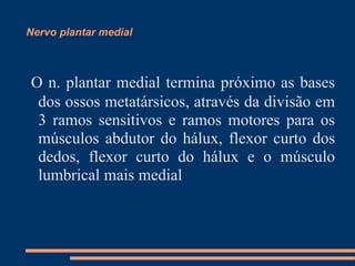 Nervo plantar medial



O n. plantar medial termina próximo as bases
 dos ossos metatársicos, através da divisão em
 3 ramos sensitivos e ramos motores para os
 músculos abdutor do hálux, flexor curto dos
 dedos, flexor curto do hálux e o músculo
 lumbrical mais medial
 