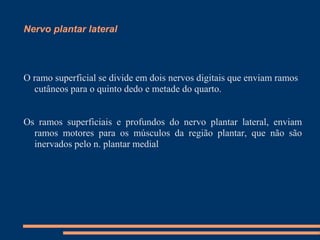 Nervo plantar lateral




O ramo superficial se divide em dois nervos digitais que enviam ramos
  cutâneos para o quinto dedo e metade do quarto.


Os ramos superficiais e profundos do nervo plantar lateral, enviam
  ramos motores para os músculos da região plantar, que não são
  inervados pelo n. plantar medial
 