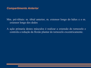 Compartimento Anterior



Mm. pré-tibiais: m. tibial anterior, m. extensor longo do hálux e o m.
 extensor longo dos dedos

A ação primaria destes músculos é realizar a extensão do tornozelo e
  controla a redução da flexão plantar do tornozelo excentricamente.
 