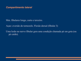 Compartimento lateral




Mm. fibulares longo, curto e terceiro.

Açao: eversão do tornozelo. Flexão dorsal (fibular 3)

Uma lesão no nervo fíbular gera uma condição chamada pé em gota (ou
  pé caído).
 