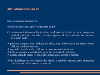 Mm. Intrinsecos do pé


São 4 camadas musculares.

São localizados na superfície plantar do pé.

Os músculos intrínsecos localizados no dorso do pé são os mm. extensores
  curto dos dedos e do hálux, sendo responsável pela extensão do primeiro
  ao quinto dedo.

A primeira camada: o m. abdutor do hálux, o m. flexor curto dos dedos e o m.
   abdutor do dedo mínimo.
A segunda camada inclui o flexor acessório e os lumbricais.
A terceira camada é constituída pelo flexor do de do mínimo.
A quarta camada inclui os músculos interósseos dorsal e plantar.

Ação: Realizam os movimento dos dedos e também atuam como sinrrgistas
  para a estabilidade dos arcos nos pés.
 