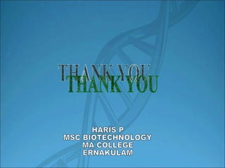 THANK YOU HARIS P MSC BIOTECHNOLOGY MA COLLEGE ERNAKULAM