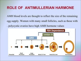 ROLE OF ANTIMULLERIAN HARMONE
AMH blood levels are thought to reflect the size of the remaining
egg supply. Women with many small follicles, such as those with
polycystic ovaries have high AMH hormone values.
 