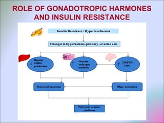 ROLE OF GONADOTROPIC HARMONES
AND INSULIN RESISTANCE
 