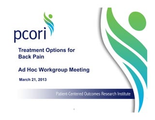 Treatment Options for
Back Pain
Ad Hoc Workgroup Meeting
March 21, 2013
1
 