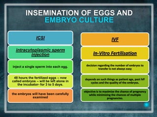 INSEMINATION OF EGGS AND
             EMBRYO CULTURE

                ICSI                                          IVF

  intracytoplasmic sperm
          injection                             In-Vitro Fertilisation

inject a single sperm into each egg.      decision regarding the number of embryos to
                                                    transfer is not always easy


 48 hours the fertilized eggs – now      depends on such things as patient age, past IVF
called embryos – will be left alone in       cycles and the quality of the embryos.
    the incubator- for 3 to 5 days.

                                         objective is to maximize the chance of pregnancy
the embryos will have been carefully         while minimizing the chances of multiple
            examined                                        pregnancies.
 