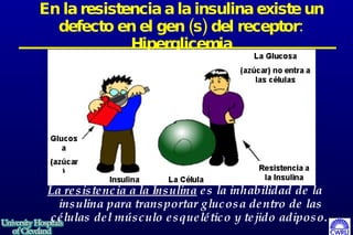 En la resistencia a la insulina existe un defecto en el gen (s) del receptor: Hiperglicemia La resistencia a la Insulina  es la inhabilidad de la insulina para transportar glucosa dentro de las células del músculo esquelético y tejido adiposo.   Glucosa (azúcar) Insulina La Célula Resistencia a la Insulina La Glucosa (azúcar) no entra a las células 
