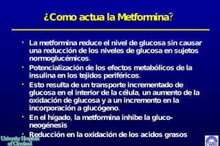 ¿Como actua la Metformina? La metformina reduce el nivel de glucosa sin causar una reducción de los niveles de glucosa en sujetos normoglucémicos.  Potencialización de los efectos metabólicos de la insulina en los tejidos periféricos. Esto resulta de un transporte incrementado de glucosa en el interior de la célula, un aumento de la oxidación de glucosa y a un incremento en la incorporación a glucógeno.  En el hígado, la metformina inhibe la gluco­neogénesis Reducci ón en la oxidación de los acidos grasos 
