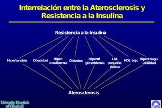 Interrelación entre la Aterosclerosis y Resistencia a la Insulina Hipertensión Obesidad Hiper- insulinemia Diabetes Hipertri- gliceridemia LDL pequeño-denso HDL bajo Hipercoagu-labilidad Aterosclerosis Resistencia a la Insulina 