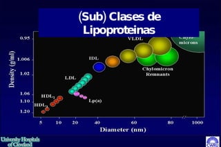 (Sub) Clases de Lipoproteinas 