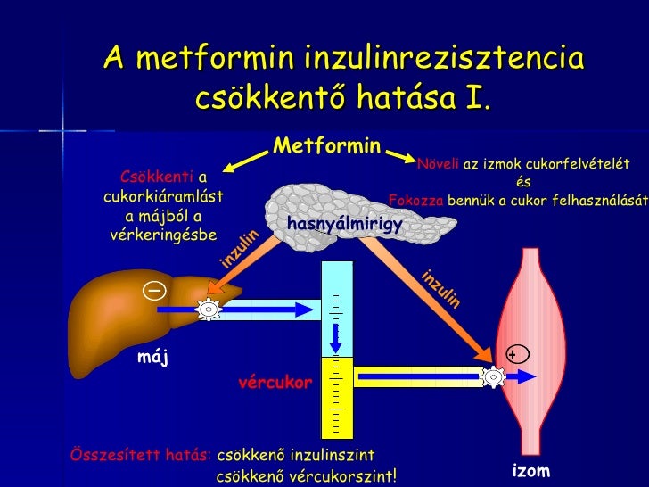 Pcos inzulinrezisztencia 2009_dr_breyer_helga