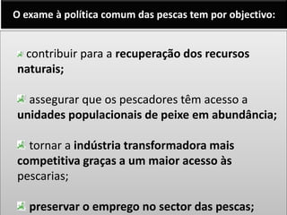 O exame à política comum das pescas tem por objectivo:
contribuir para a recuperação dos recursos
naturais;
assegurar que os pescadores têm acesso a
unidades populacionais de peixe em abundância;
tornar a indústria transformadora mais
competitiva graças a um maior acesso às
pescarias;
preservar o emprego no sector das pescas;
 