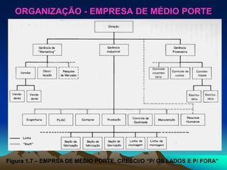 ORGANIZAÇÃO - EMPRESA DE MÉDIO PORTE
Figura 1.7 – EMPRSA DE MÉDIO PORTE. CRESCI/O “P/ OS LADOS E P/ FORA”
 