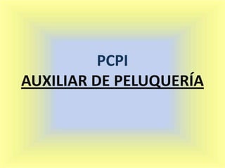 PCPI
AUXILIAR DE PELUQUERÍA
 