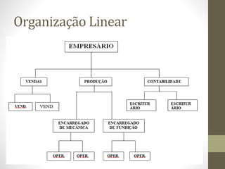 Organização Linear
 