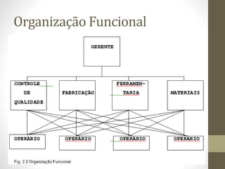 Organização Funcional
 
