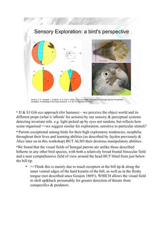 Sensory Exploration: a bird's perspective




                                                                                                                                      6



          Demery, Z. P., Chappell, J., & Martin, G. R. (2011). Vision, touch and object manipulation in Senegal parrots Poicephalus
          senegalus. Proceedings of the Royal Society B, 1–8. doi:10.1098/rspb.2011.0374




• JJ & EJ Gib eco approach (for humans) – we perceive the object world and its
different props (what it 'affords' for actions) by our sensory & perceptual systems
detecting invariant info. e.g. light picked up by eyes not random, but reflects how
scene organised >>we suggest similar for exploration, sensitive to particular stimuli?
• Parrots exceptional among birds for their high exploratory tendencies, neophilia
throughout their lives and learning abilities (as described by Jayden previously &
Alice later on in this workshop) BUT ALSO their dextrous manipulatory abilities.
•We found that the visual fields of Senegal parrots are unlike those described
hitherto in any other bird species, with both a relatively broad frontal binocular field
and a near comprehensive field of view around the head BUT blind from just below
the bill tip.
      ●
          >>Think this is mainly due to touch receptors at the bill tip & along the
          inner ventral edges of the hard keratin of the bill, as well as in the fleshy
          tongue (not described since Goujon 1869!), WHICH allows the visual field
          to shift up&back presumably for greater detection of threats from
          conspecifics & predators.
 