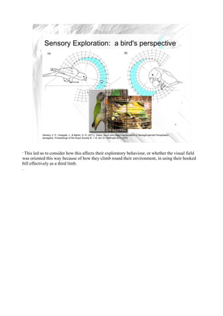 Sensory Exploration: a bird's perspective




                                                                                                                                       7


           Demery, Z. P., Chappell, J., & Martin, G. R. (2011). Vision, touch and object manipulation in Senegal parrots Poicephalus
           senegalus. Proceedings of the Royal Society B, 1–8. doi:10.1098/rspb.2011.0374




•
 This led us to consider how this affects their exploratory behaviour, or whether the visual field
was oriented this way because of how they climb round their environment, in using their hooked
bill effectively as a third limb.
•
 