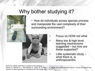 Why bother studying it?
                                        • How do individuals across species process
                                        and manipulate the vast complexity of their
                                        surrounding environment?

                                                                    •         Focus on HOW not what
                                                                    •         Many low & high level
                                                                              learning mechanisms
                                                                              suggested – but how are
                                                                              these supported?
                                                                    •         Little systematic study –
                                                                              what there is, is
                                                                              anthropocentric
Borst et al. (2009), Max-Planck Institute for Neurobiology: http://www.physorg.com/news168256071.html
Perone, S., Madole, K. L., Ross-Sheehy, S., Carey, M., & Oakes, L. M. (2008). The relation between infants'™ activity with objects and
attention to object appearance. Developmental Psychology, 44(5), 1242-8.
 