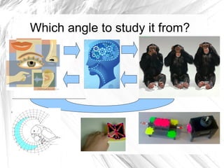 Which angle to study it from?
 
