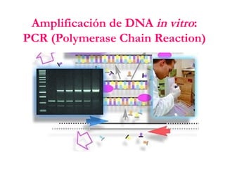 Amplificación de DNA  in vitro : PCR (Polymerase Chain Reaction) 