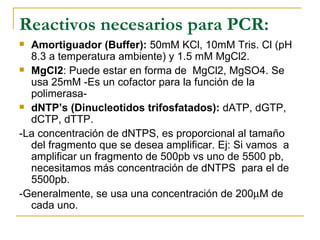 Reactivos necesarios para PCR: Amortiguador (Buffer):  50mM KCl, 10mM Tris. Cl (pH 8.3 a temperatura ambiente) y 1.5 mM MgCl2. MgCl2 : Puede estar en forma de  MgCl2, MgSO4. Se usa 25mM -Es un cofactor para la función de la polimerasa- dNTP’s (Dinucleotidos trifosfatados):  dATP, dGTP, dCTP, dTTP. -La concentración de dNTPS, es proporcional al tamaño del fragmento que se desea amplificar. Ej: Si vamos  a amplificar un fragmento de 500pb vs uno de 5500 pb, necesitamos más concentración de dNTPS  para el de 5500pb. -Generalmente, se usa una concentración de 200  M de cada uno. 