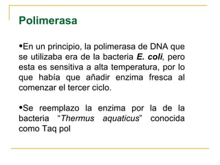 En un principio, la polimerasa de DNA que se utilizaba era de la bacteria  E. coli ,  pero esta es   sensitiva a alta temperatura, por lo que había que añadir enzima fresca al comenzar el tercer ciclo. Se reemplazo la enzima por la de la bacteria “ Thermus aquaticus ” conocida como Taq pol Polimerasa 