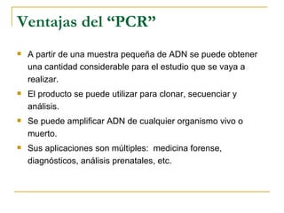 Ventajas del “PCR” A partir de una muestra pequeña de ADN se puede obtener una cantidad considerable para el estudio que se vaya a realizar. El producto se puede utilizar para clonar, secuenciar y análisis. Se puede amplificar ADN de cualquier organismo vivo o muerto. Sus aplicaciones son múltiples:  medicina forense, diagnósticos, análisis prenatales, etc. 