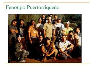 Fenotipo Puertorriqueño 