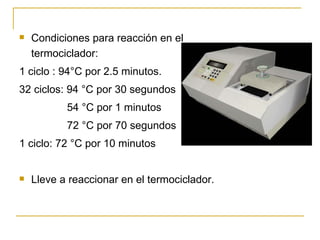 Condiciones para reacción en el termociclador: 1 ciclo : 94 °C por 2.5 minutos. 32 ciclos: 94 °C por 30 segundos 54 °C por 1 minutos 72 °C por 70 segundos 1 ciclo: 72 °C por 10 minutos Lleve a reaccionar en el termociclador. 