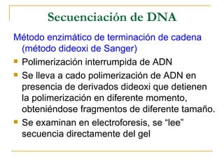 Secuenciación de DNA Método enzimático de terminación de cadena (método dideoxi de Sanger) Polimerización interrumpida de ADN Se lleva a cado polimerización de ADN en presencia de derivados dideoxi que detienen la polimerización en diferente momento, obteniéndose fragmentos de diferente tamaño. Se examinan en electroforesis, se “lee” secuencia directamente del gel  