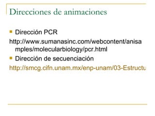 Direcciones de animaciones Dirección PCR http://www.sumanasinc.com/webcontent/anisamples/molecularbiology/pcr.html Dirección de secuenciación http://smcg.cifn.unam.mx/enp-unam/03-EstructuraDelGenoma/animaciones/secuencia.swf   