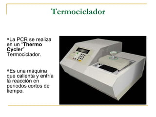 Termociclador La PCR se realiza en un “ Thermo Cycler ” Termociclador. Es una máquina que calienta y enfría la reacción en periodos cortos de tiempo.  
