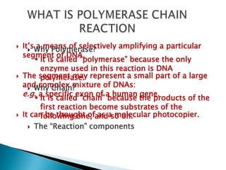 POLYMERASE CHAIN REACTION | PPTX